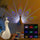 Rechargeable Peacock Projection Lamp – USB LED Sunset Projector Mood Light with Multi-Color Ambient Lighting