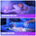 2-in-1 Ocean Wave Projector Light & Northern Aurora Lamp | 16 Colors RGB Night Light Projector  | Bedroom Mood Lamp
